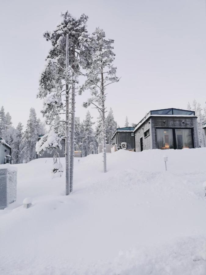Levi Sky Igloo With Private Sauna And Hot Tub Buitenkant foto