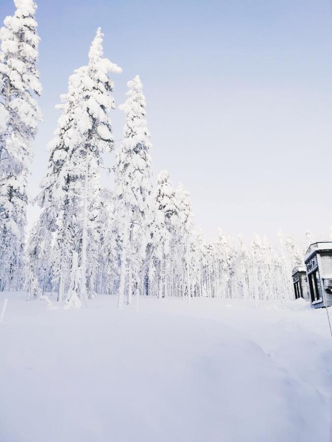 Levi Sky Igloo With Private Sauna And Hot Tub Buitenkant foto